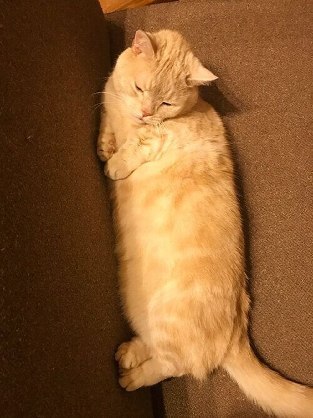 Ayaeo9gid1uiym Ayaeo9gid1uiym