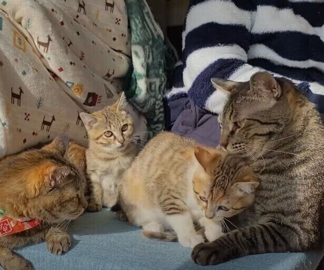 V2ffthgb5gwfzm V2ffthgb5gwfzm