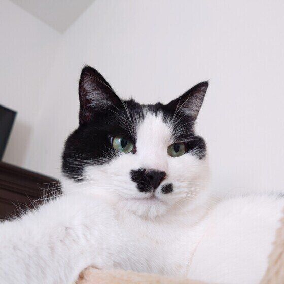 Mix（黒×白）の海大くん♪