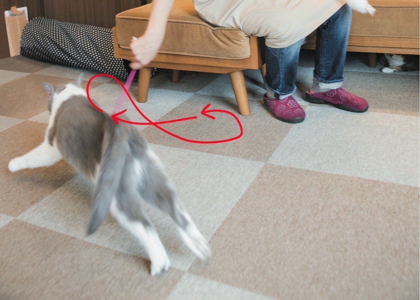 撮影／中川文作