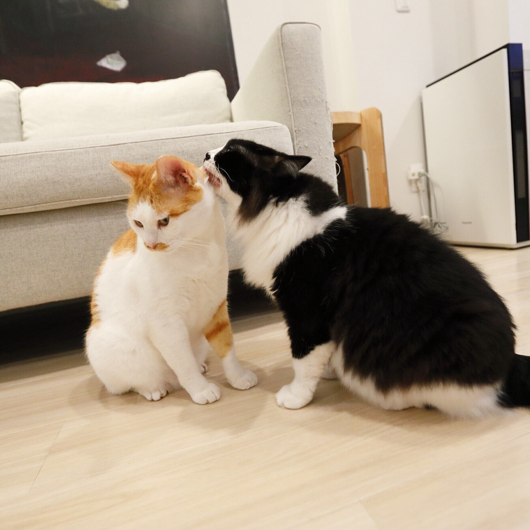 撮影／後藤さくら