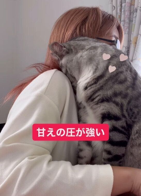飼い主さんに甘える影丸くん
