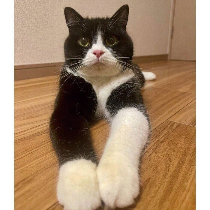 「片足だけハイソックス」なたろうくん