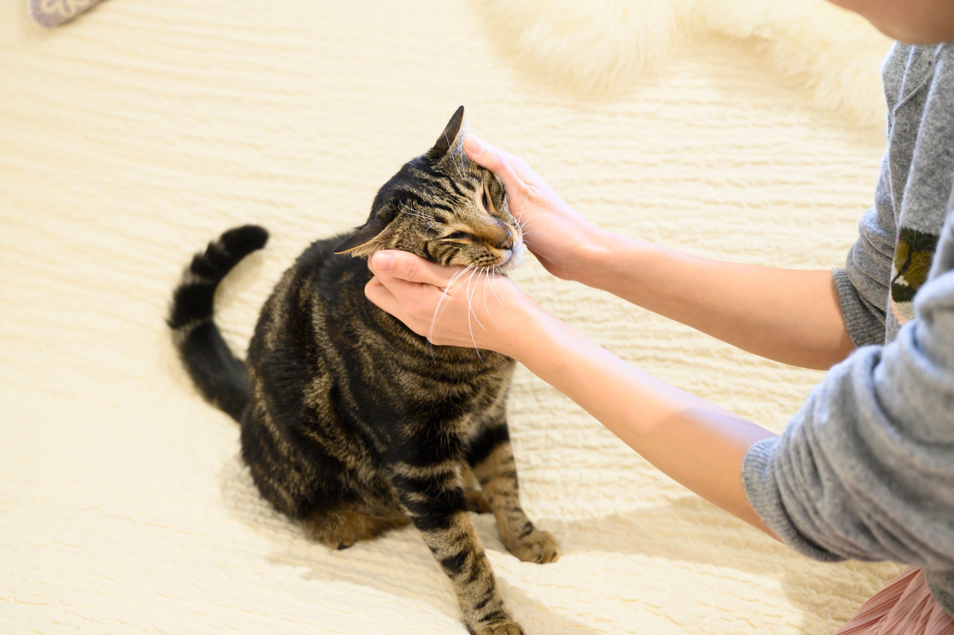 撮影／中川文作