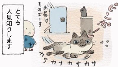 「ねこ連れ草」サムネイル