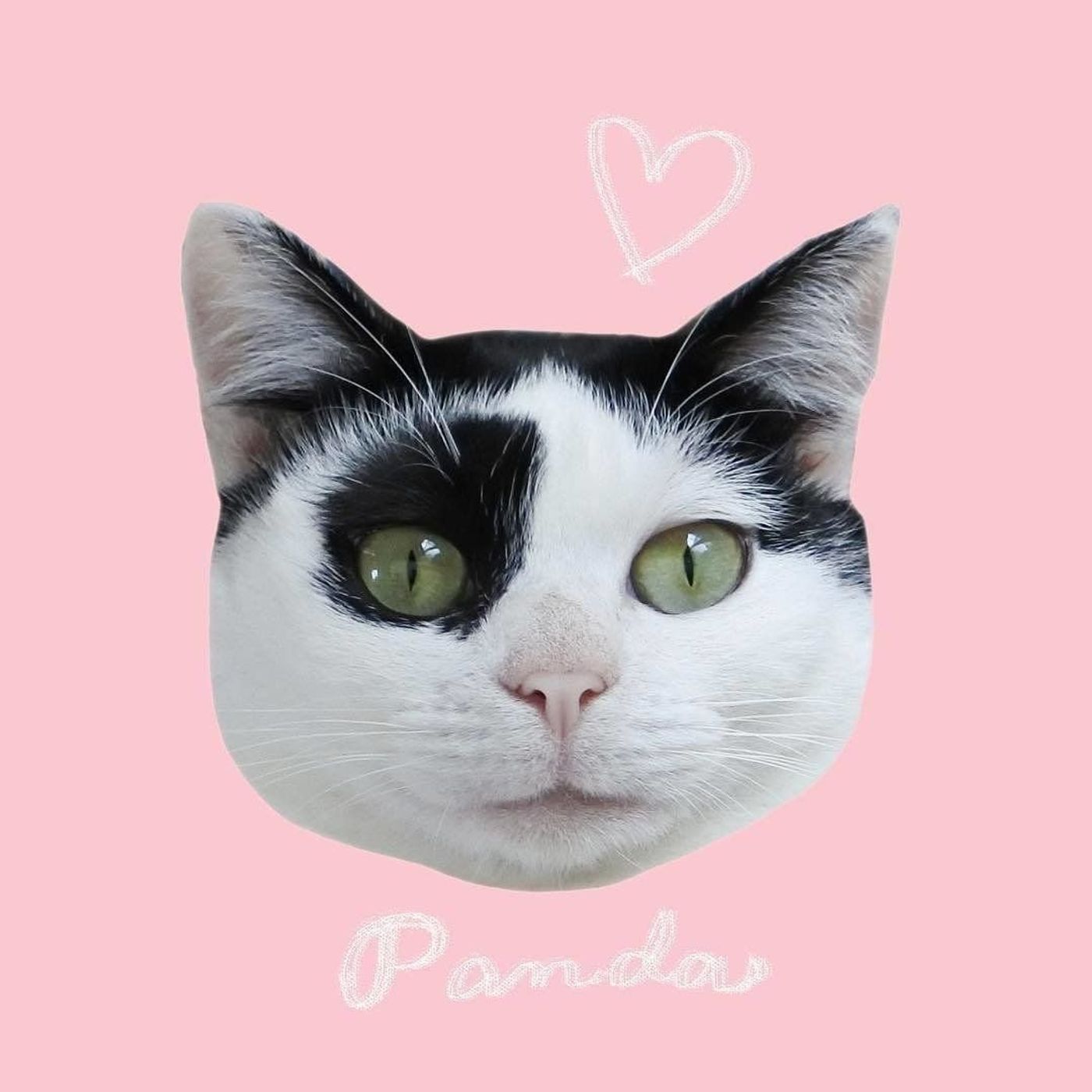 猫 と パンダ は似ていた 意外と多い共通点とは ねこのきもちweb Magazine 猫 と パンダ は似ていた 意外と多い共通点とは ねこのきもちweb Magazine