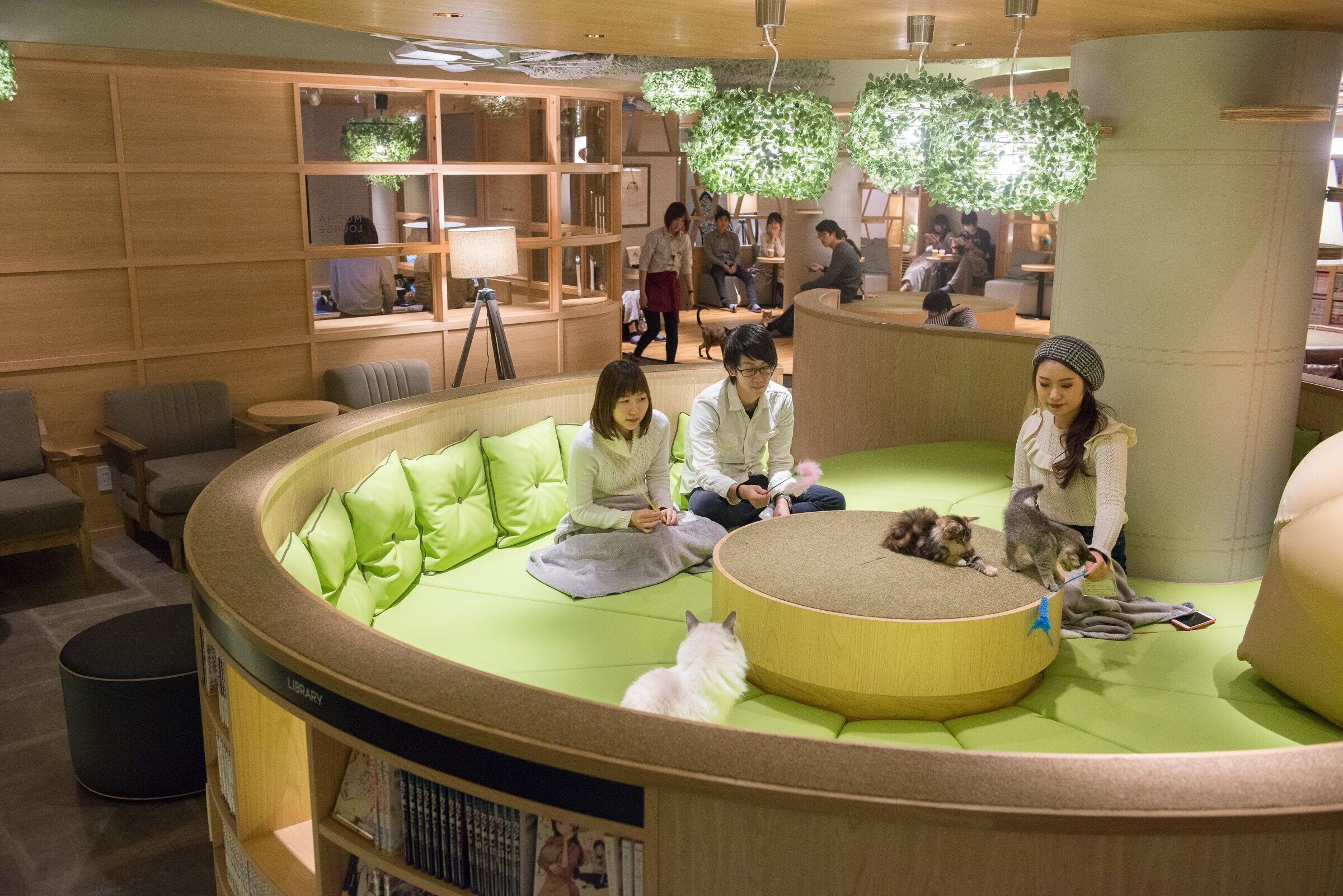 自然の緑をモチーフに、くつろぎを演出