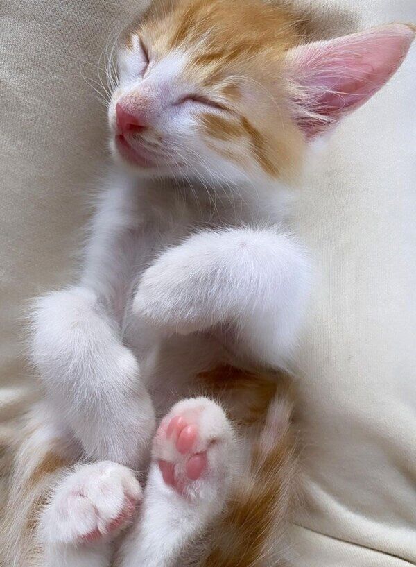 少し成長したジンくん