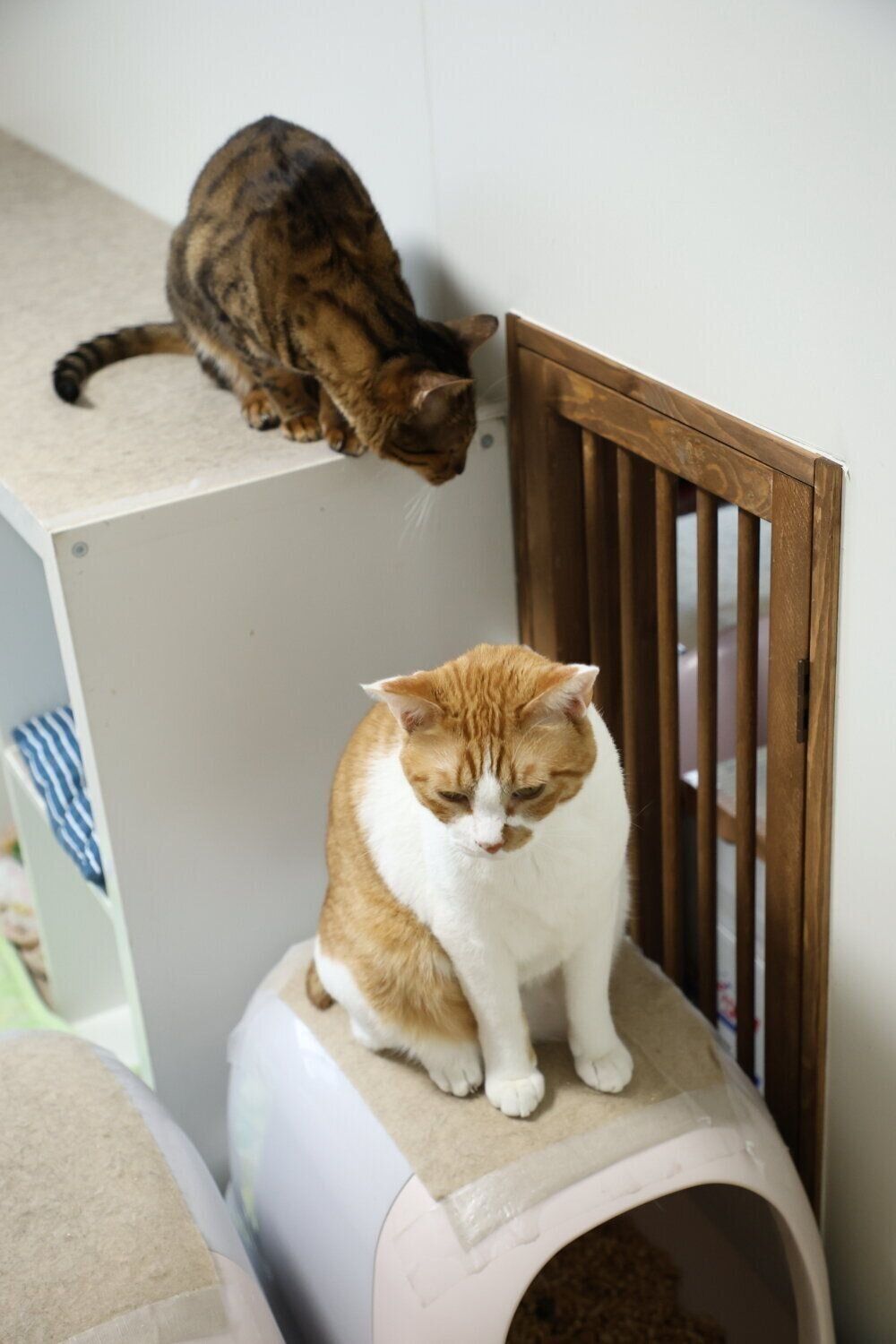 撮影／尾﨑たまき