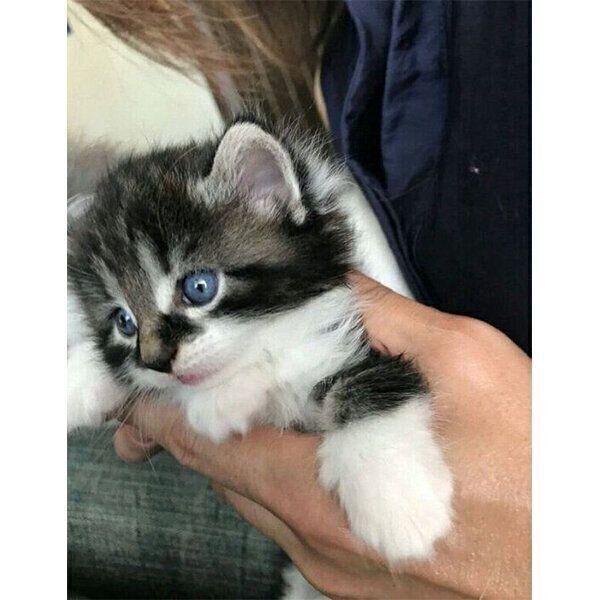 抱っこされる小次郎くん