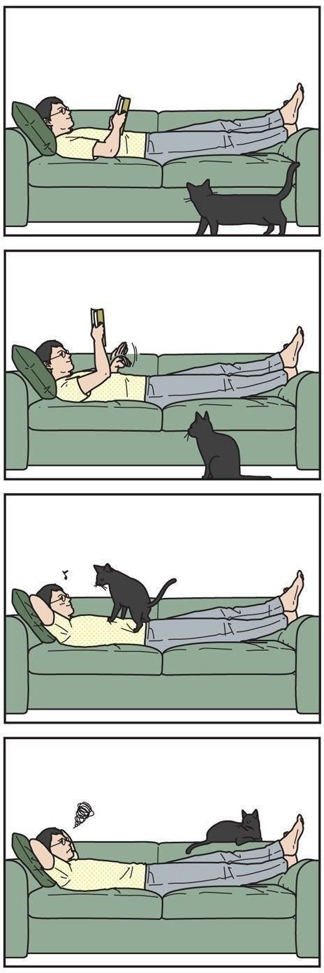 『男の猫道』WEB限定話 vol.6