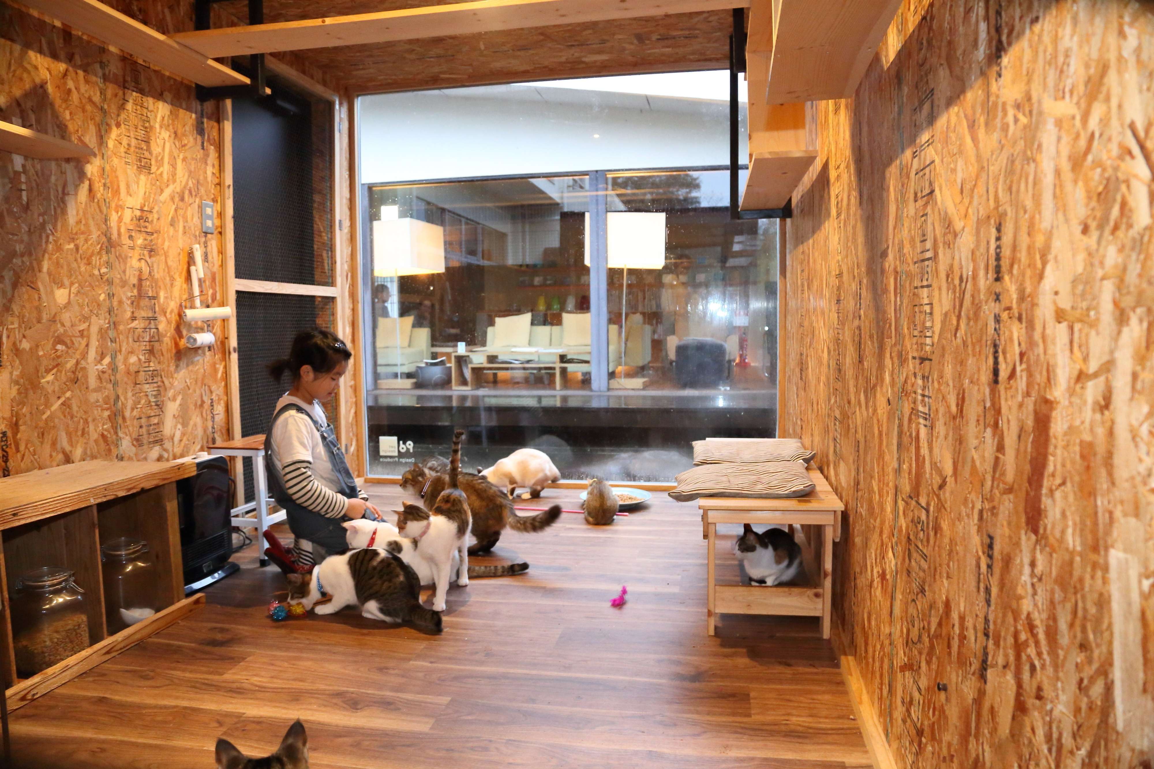 撮影／尾﨑たまき