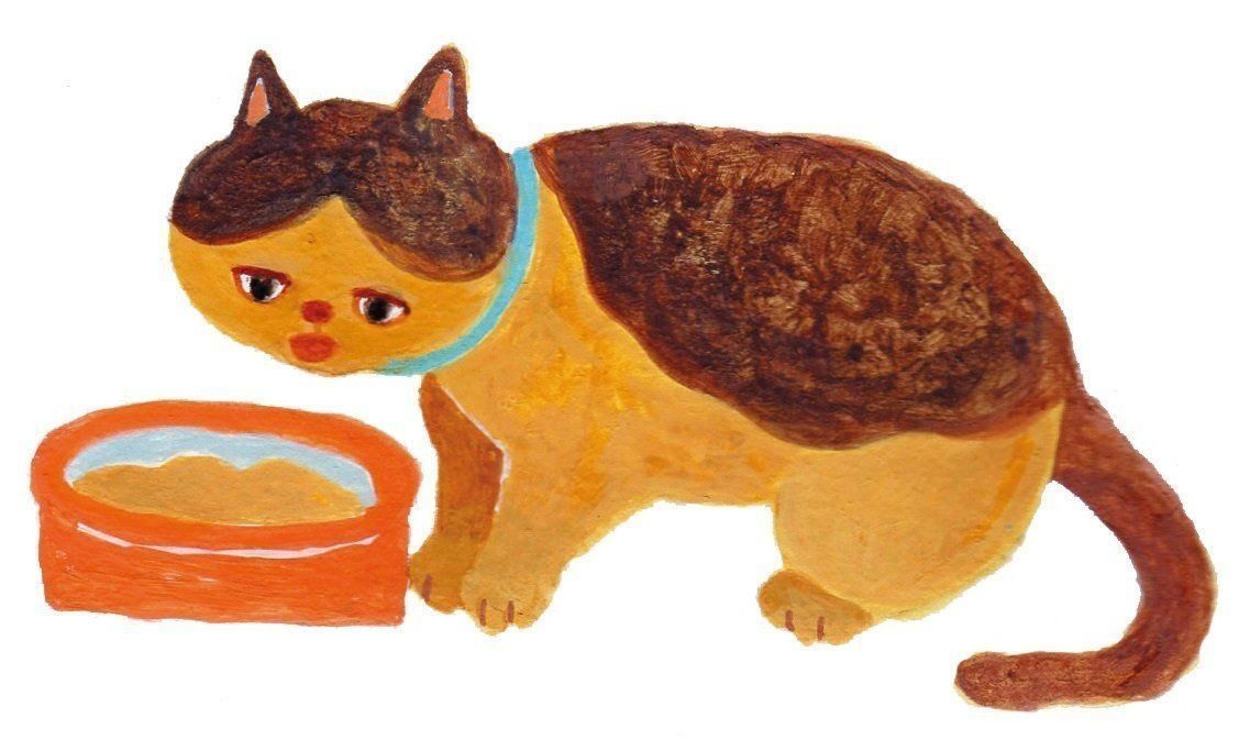 イラスト／守屋和美