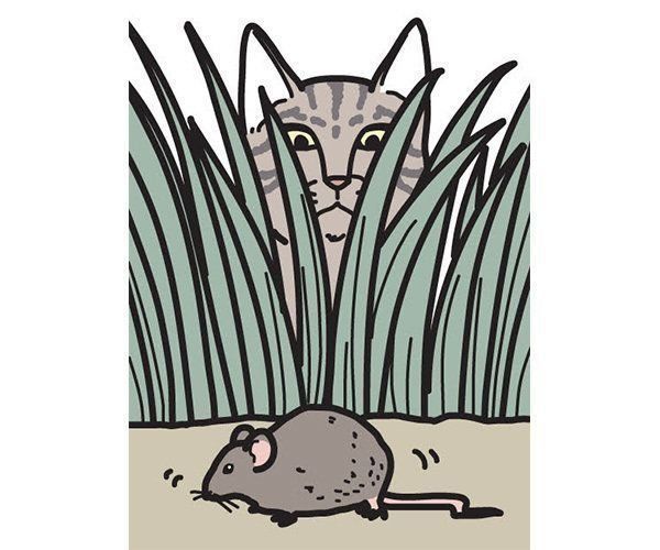 ネズミを見る猫