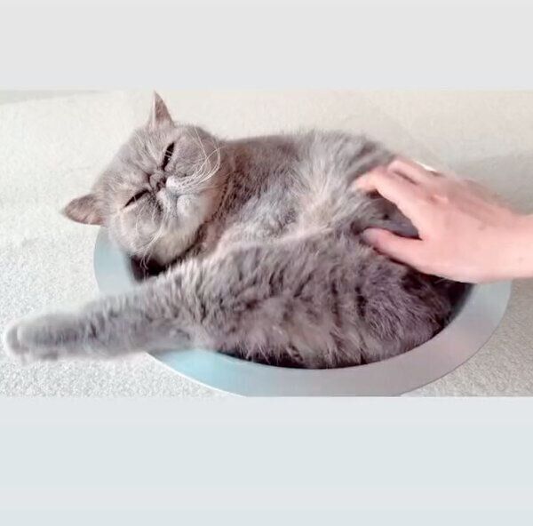 マッサージ中のふくすけくん