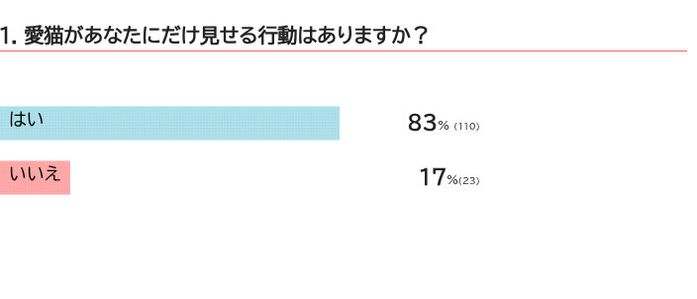 愛猫があなたにだけ見せる行動は?
