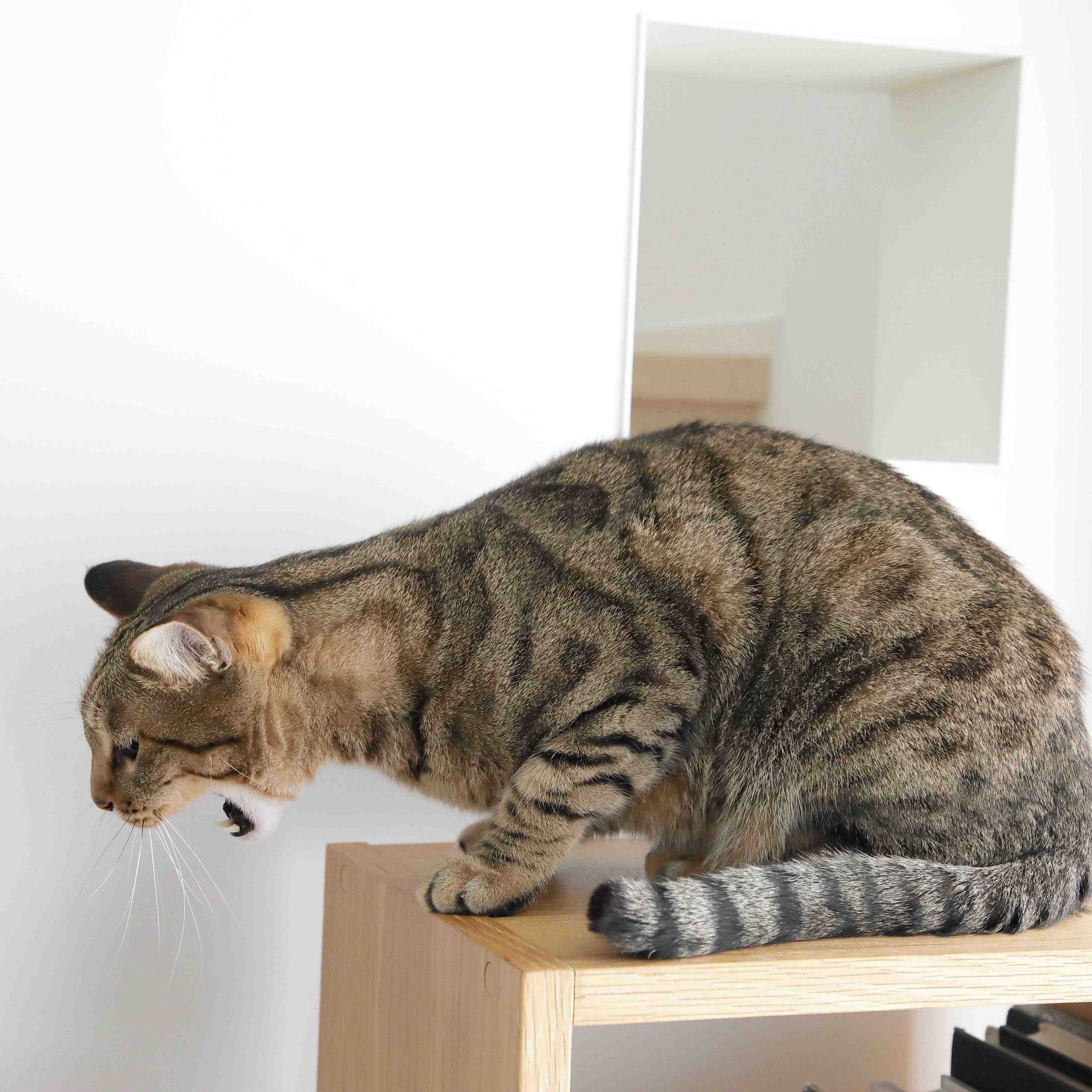 撮影／尾﨑たまき