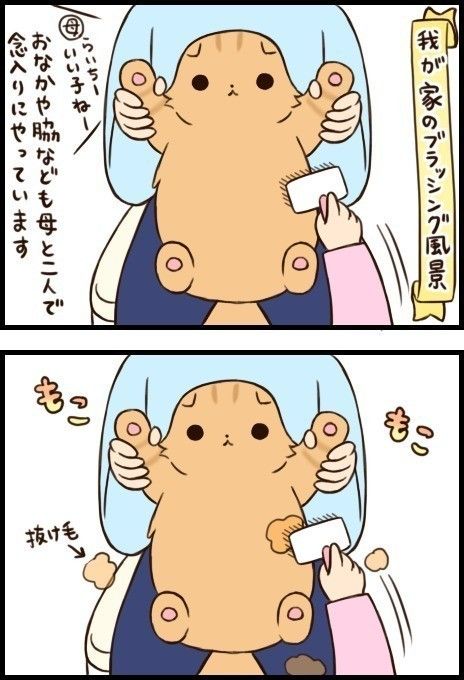 「もふもふスコたん」21話目