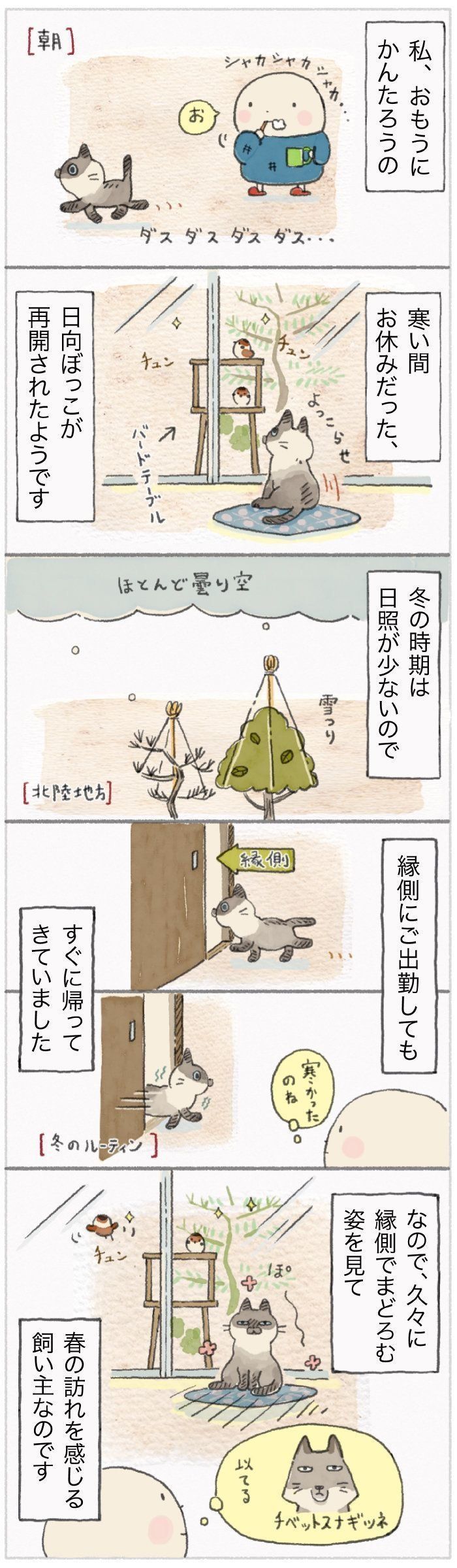 「ねこ連れ草」63話め