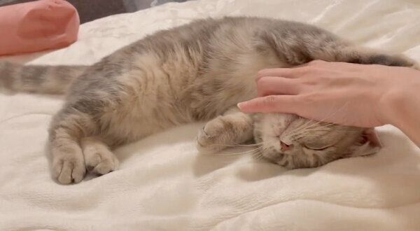 甘えん坊なおんぷちゃん