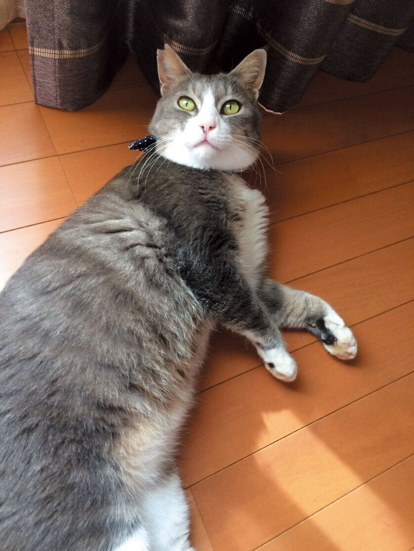 撮影／奥山美奈子