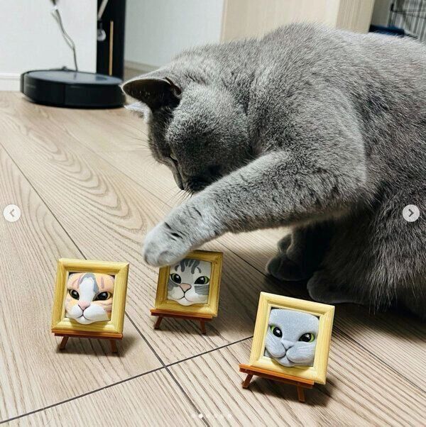 カプセルトイ「猫フレーム　スタンドフィギュア」