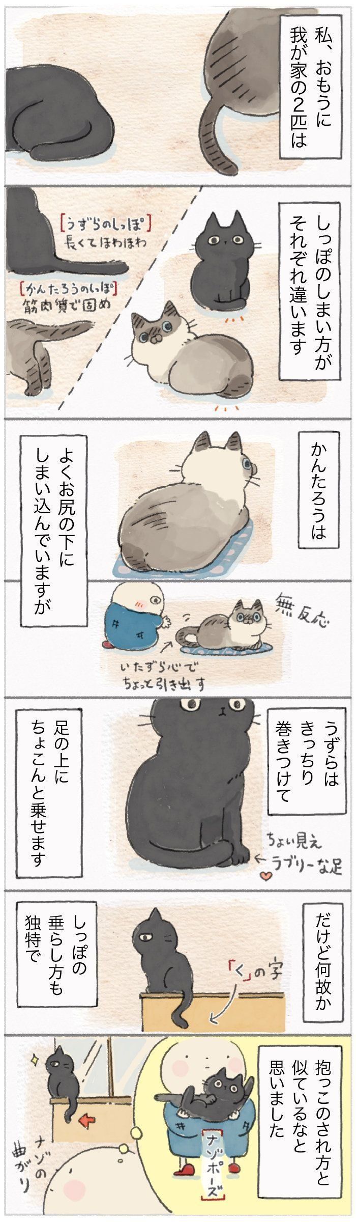 「ねこ連れ草」65話め