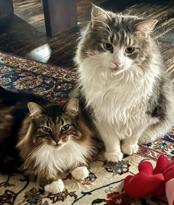 ラムちゃん、ジン太くんの2ショット