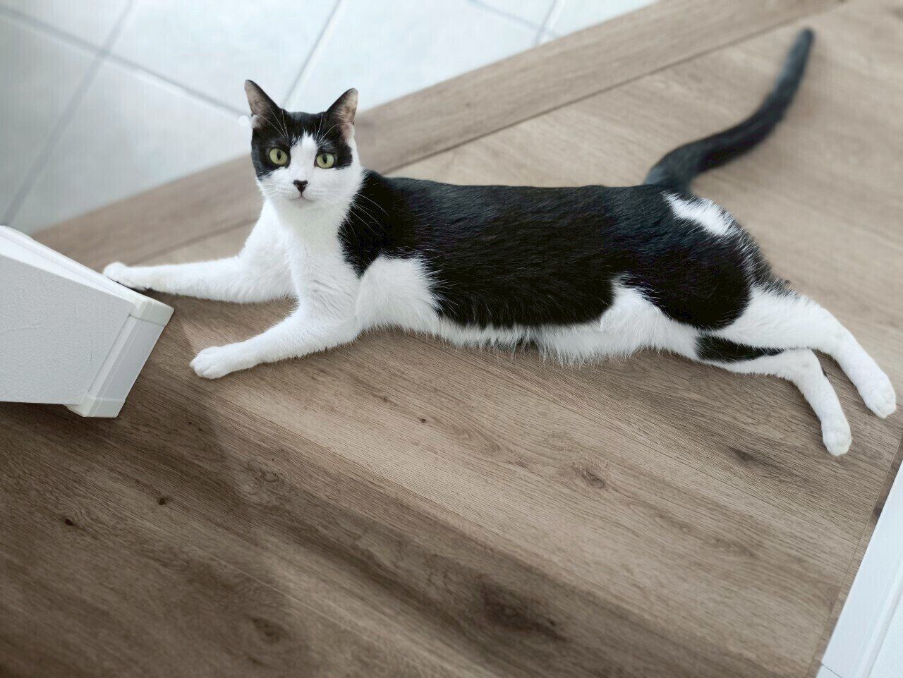 寝転がるおそのさん