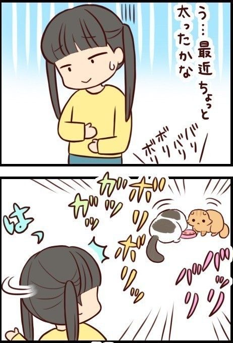 「もふもふスコたん」vol.6