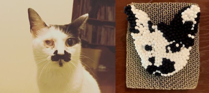 ねこのきもちWEB MAGAZINE ねこの日企画「MEN'S CAT」