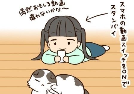 「もふもふスコたん」タイトル