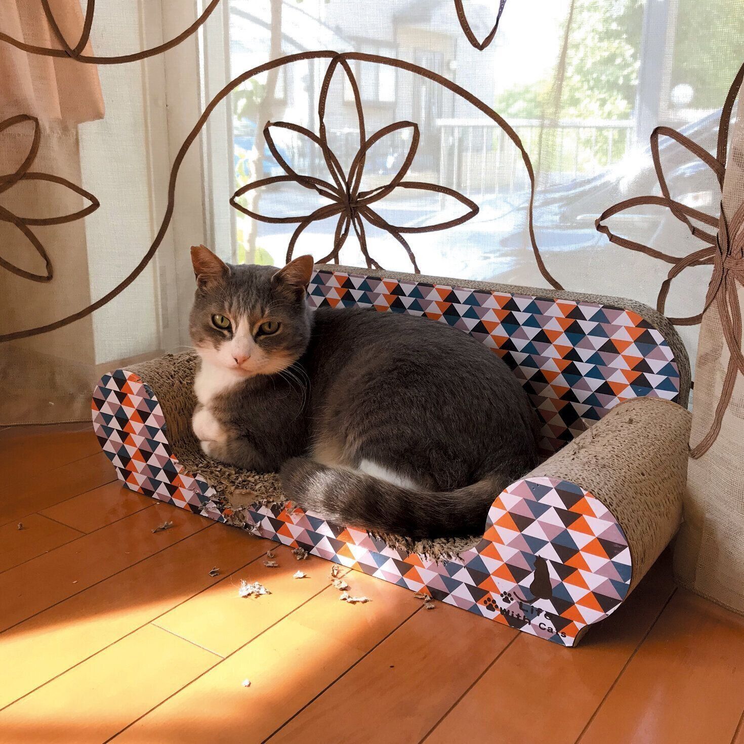 撮影／奥山美奈子