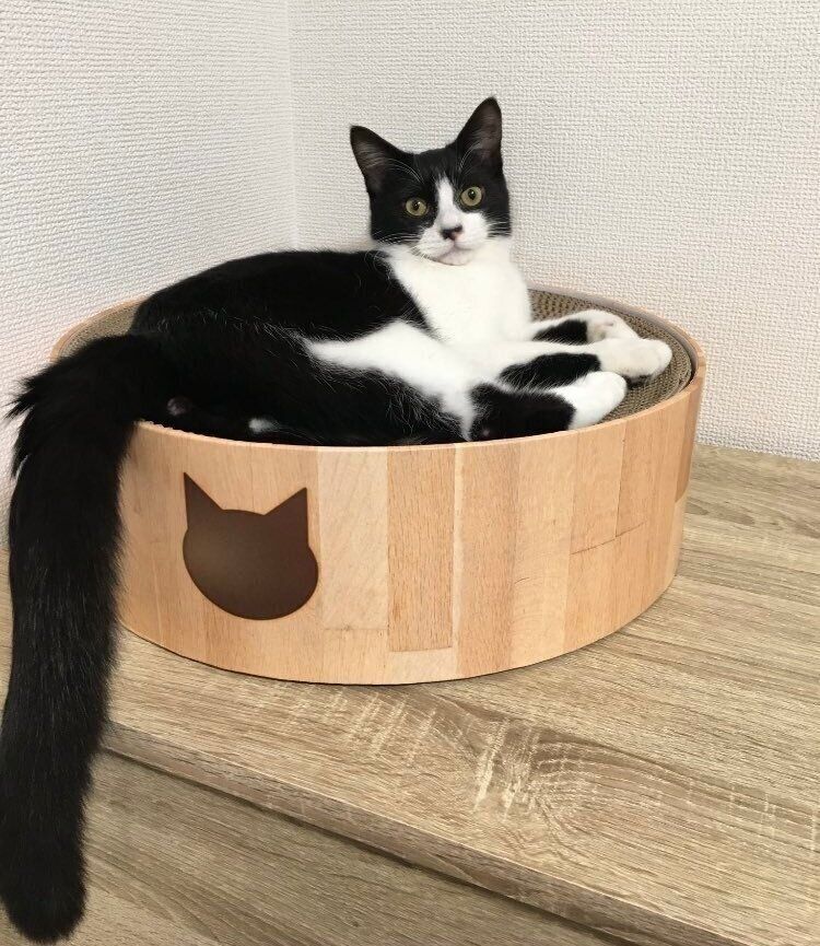 「本当に立派なシッポだねぇ」と飼い主さん。