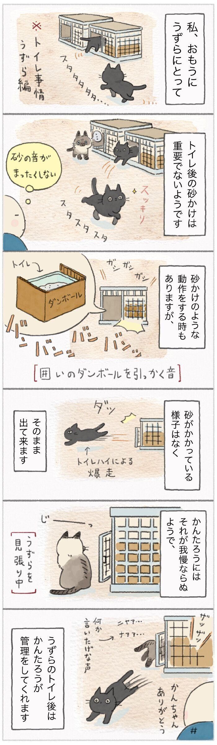 「ねこ連れ草」125話め