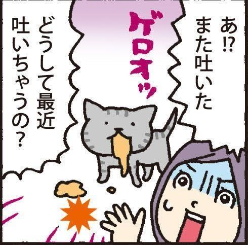 イラスト／藤井昌子