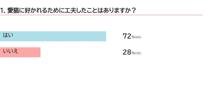 猫に好かれるための工夫は？