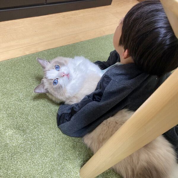 仲良くテレビを見る息子さんとルカくん