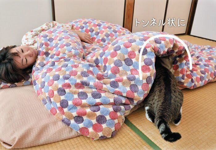 飼い主さんの布団の中に入る猫