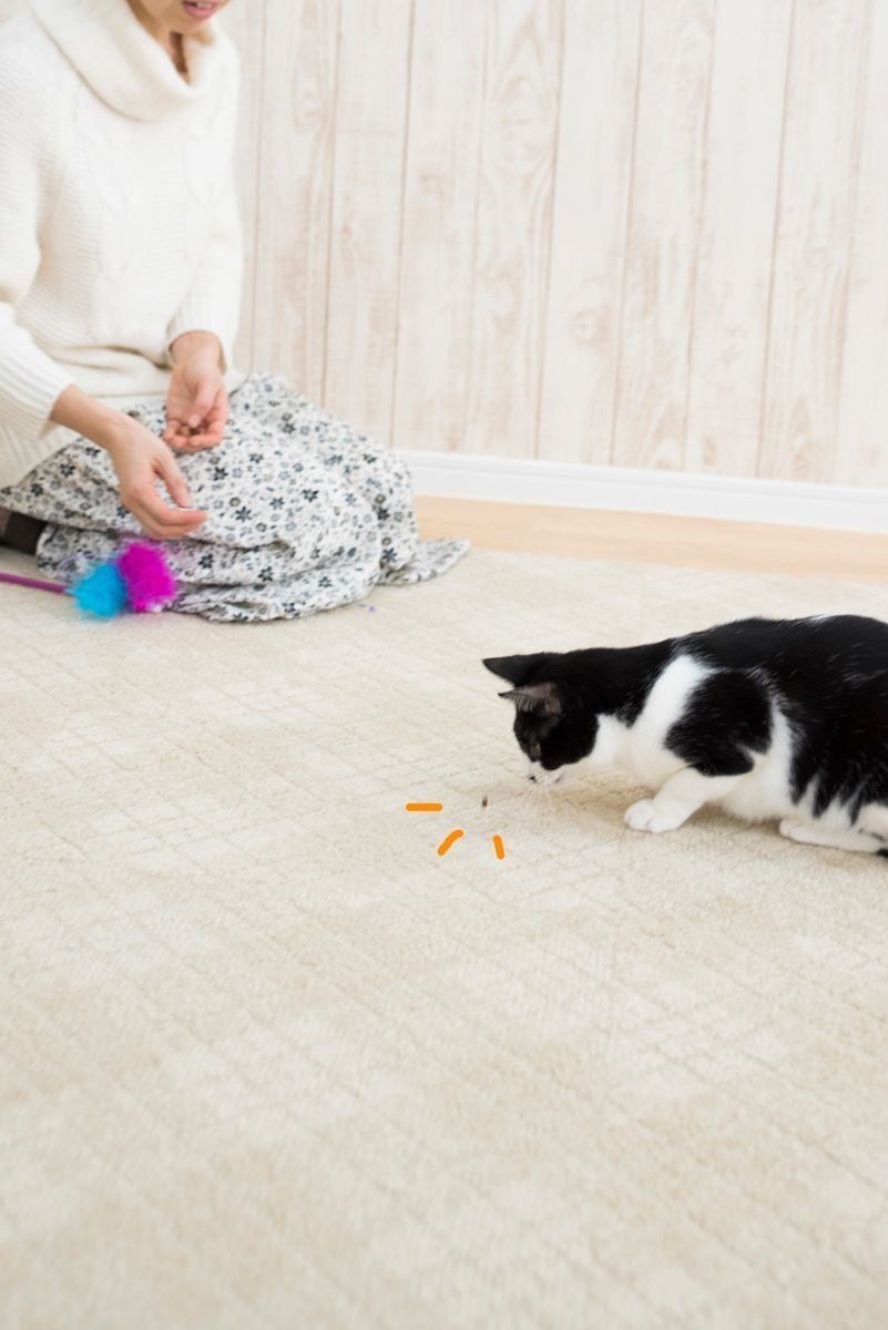 撮影／中川文作