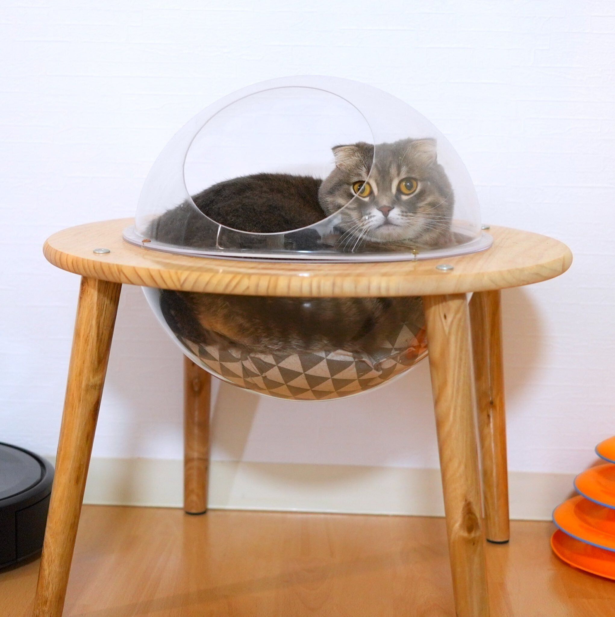 最近のお気に入りスポット・宇宙船