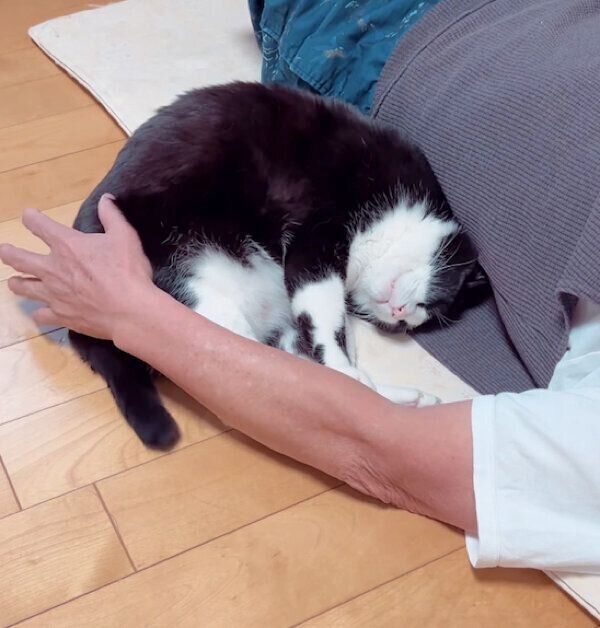 お父さんの脇に挟まって眠るキキ様