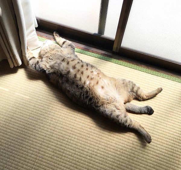 日向ぼっこで…