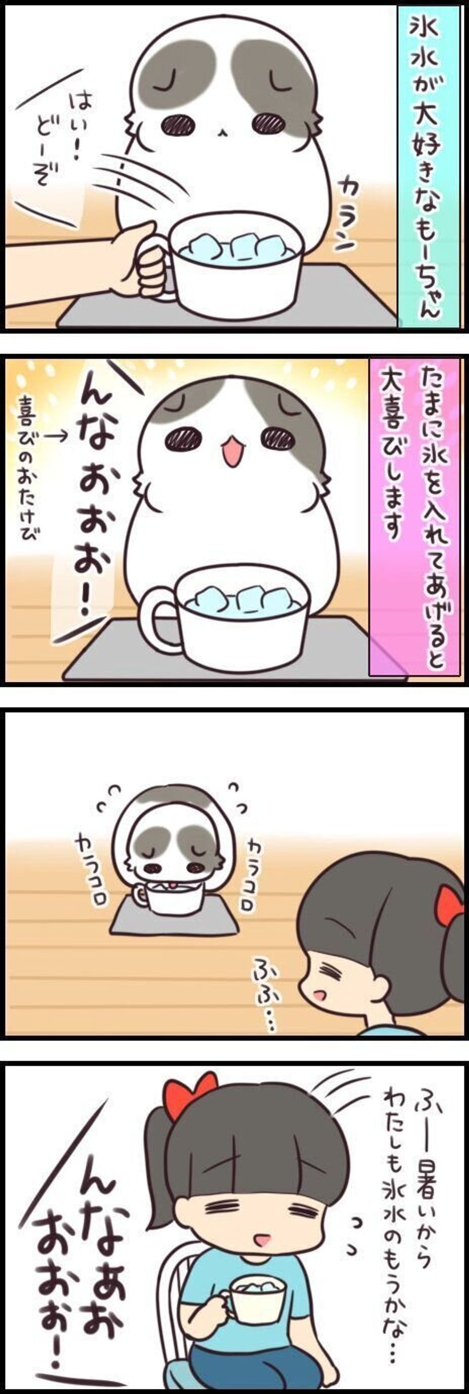 喜びの雄叫びもあがる 新鮮味をリピートさせる裏ワザ 連載 もふもふスコたん 240 ねこのきもちweb Magazine 喜びの雄叫びもあがる 新鮮味をリピートさせる裏ワザ 連載 もふもふスコたん 240 ねこのきもちweb Magazine