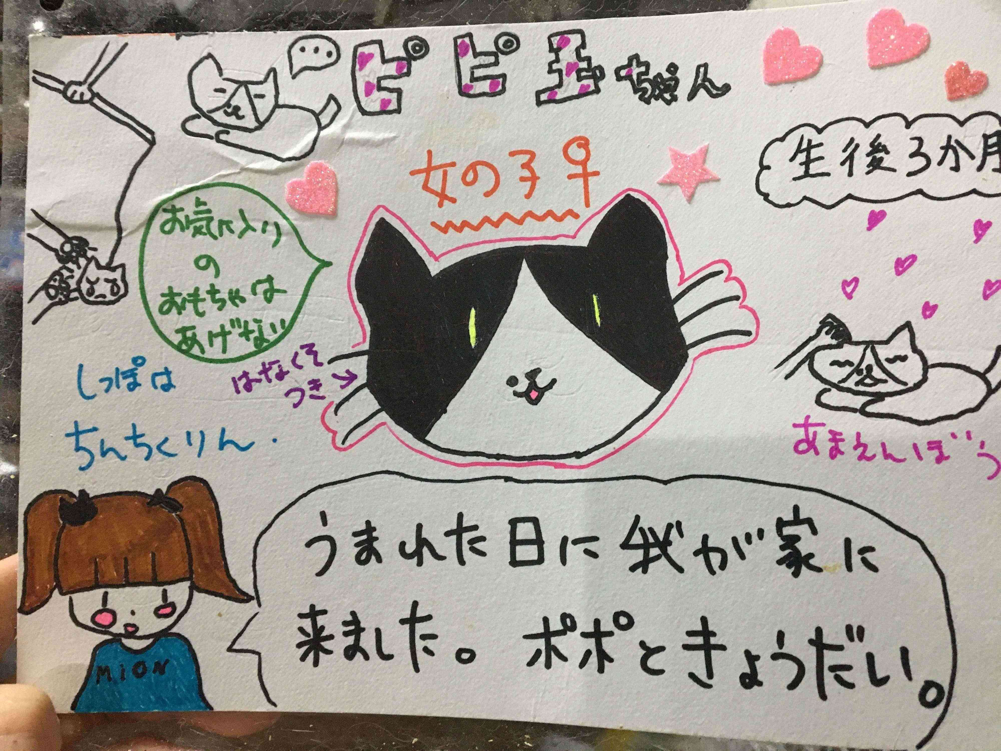 写真提供／中山渚美ちゃん