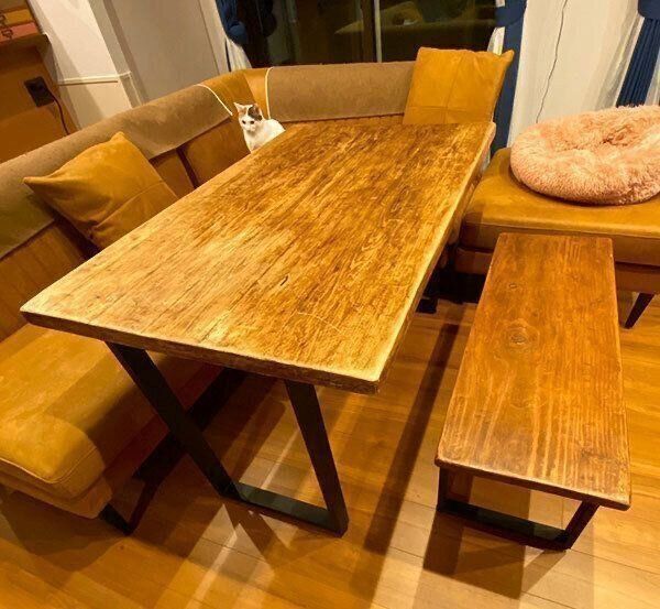 ソファでくつろぐカンナちゃん