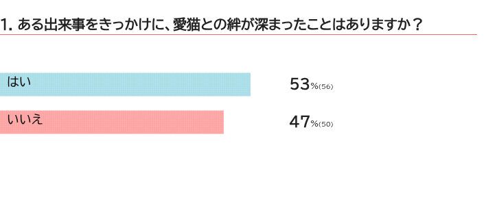 猫との絆が深まったエピソードはありますか？