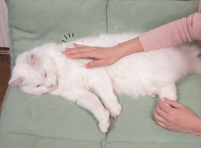 指でトントンと背中をタッチ