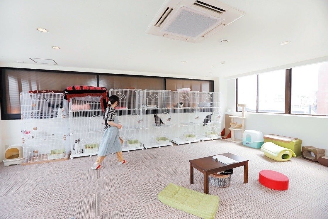 撮影／後藤さくら