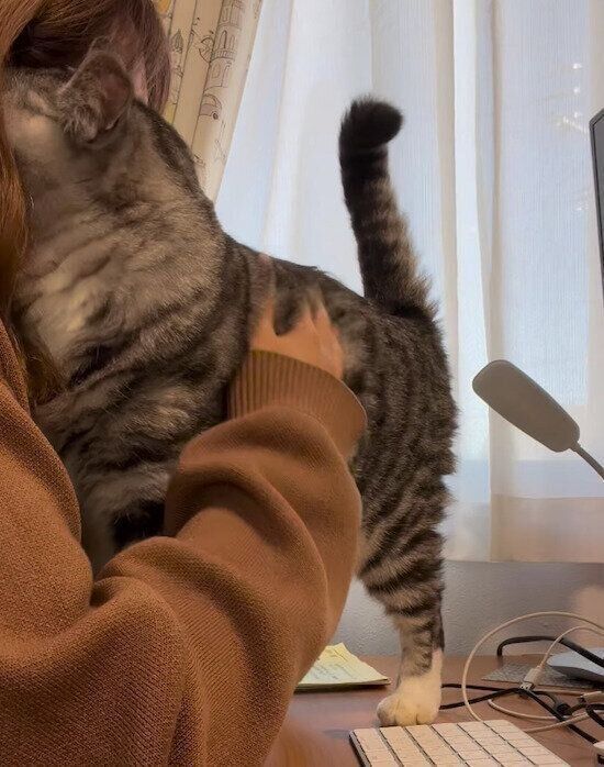 飼い主さんにくっつく影丸くん